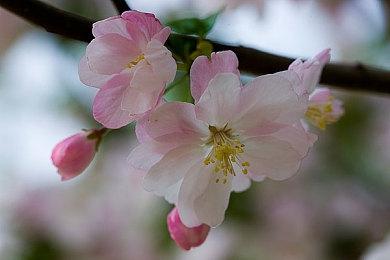 Fami通新一周日区销量榜 《破晓传说》两连冠